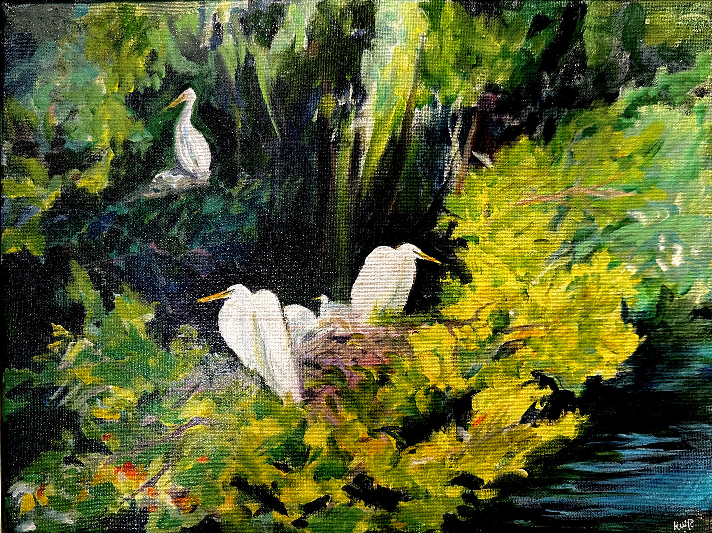 The rookery
