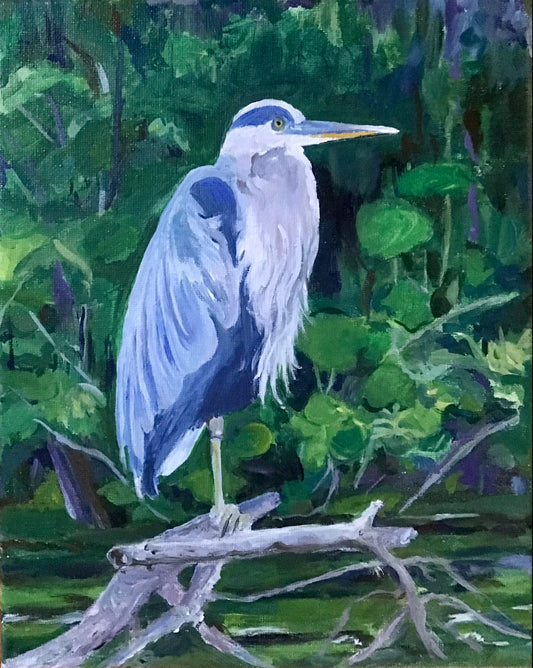 Blue heron