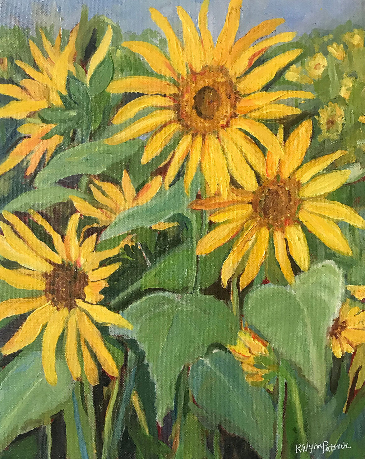 Summer sunflowers