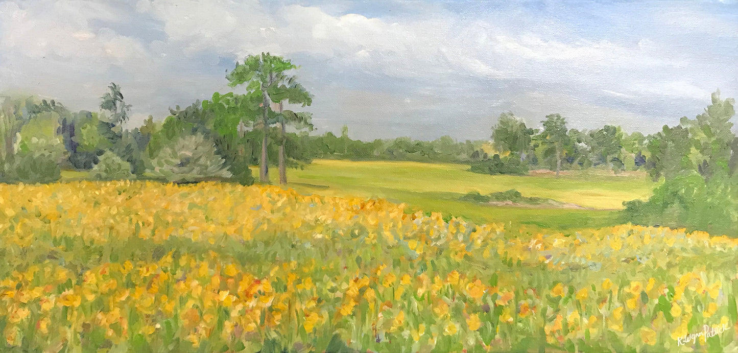 Yellow field